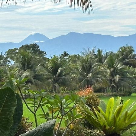 Sumatra Expedition Lodge Bukit Lawang Ngoại thất bức ảnh