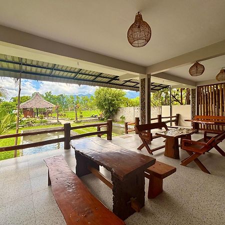 Sumatra Expedition Lodge Bukit Lawang Ngoại thất bức ảnh