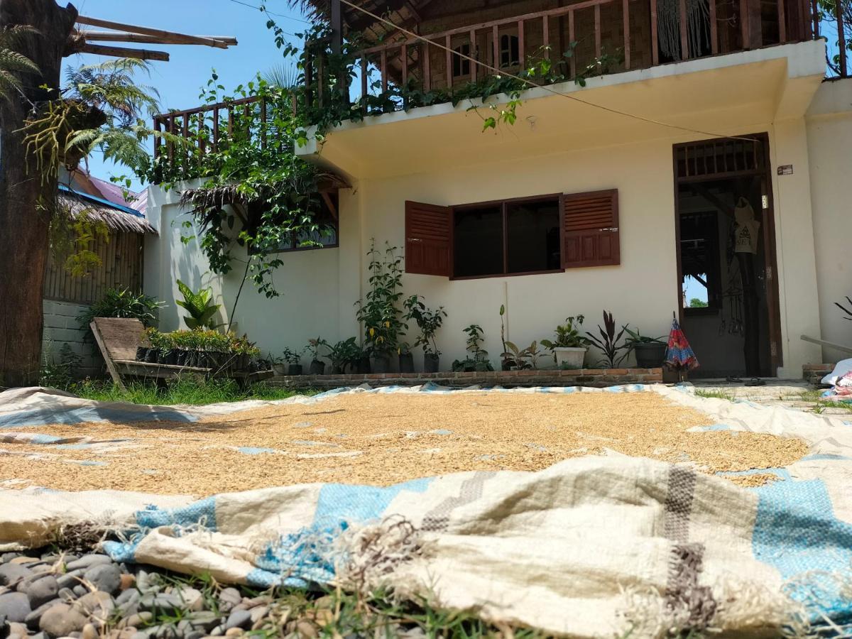 Sumatra Expedition Lodge Bukit Lawang Ngoại thất bức ảnh