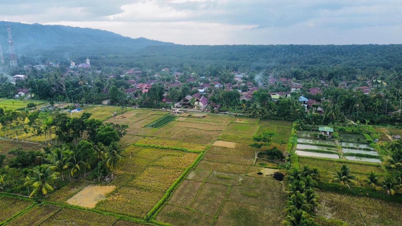 Sumatra Expedition Lodge Bukit Lawang Ngoại thất bức ảnh
