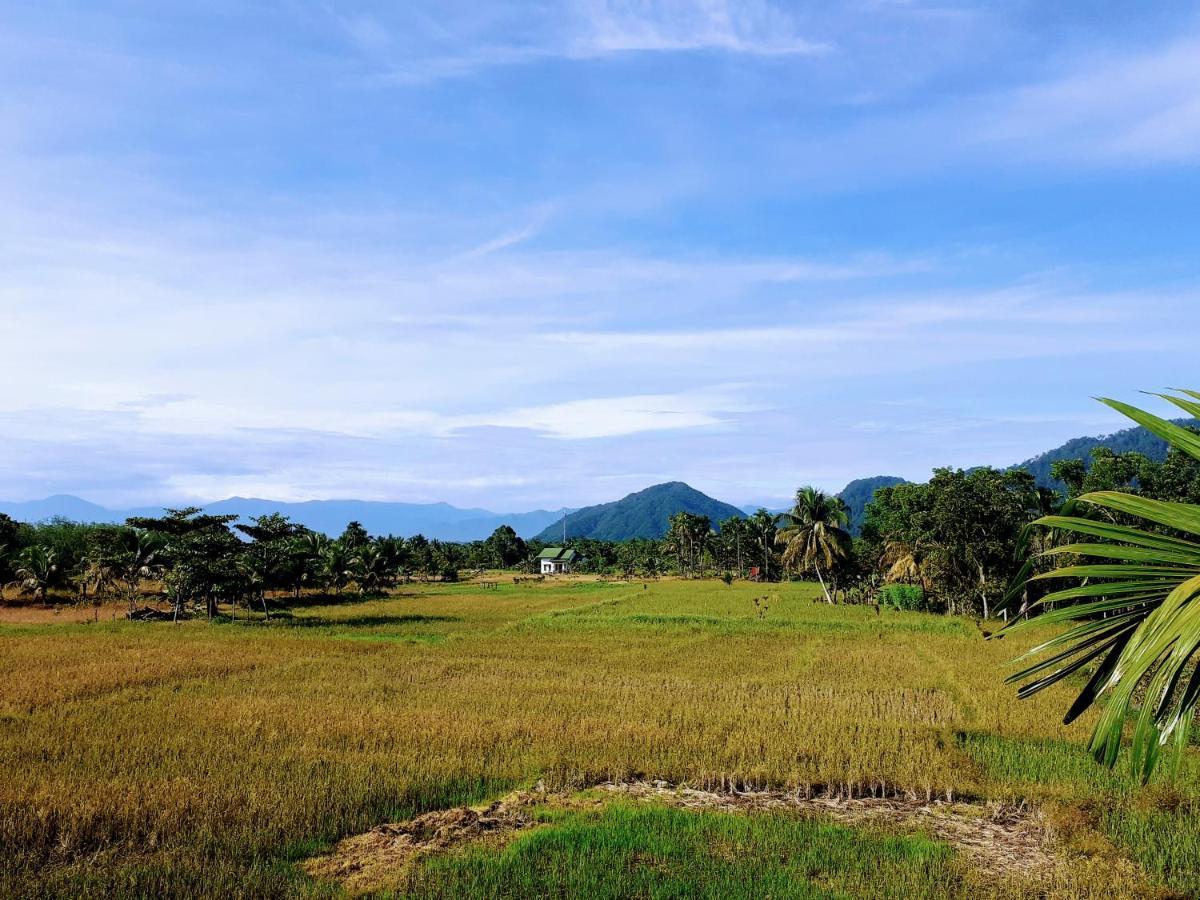 Sumatra Expedition Lodge Bukit Lawang Ngoại thất bức ảnh