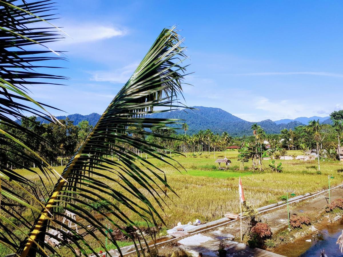 Sumatra Expedition Lodge Bukit Lawang Ngoại thất bức ảnh