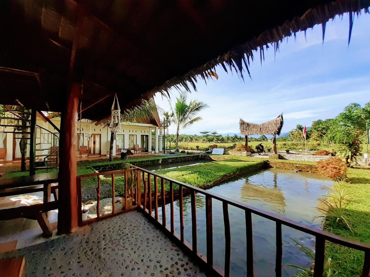 Sumatra Expedition Lodge Bukit Lawang Ngoại thất bức ảnh