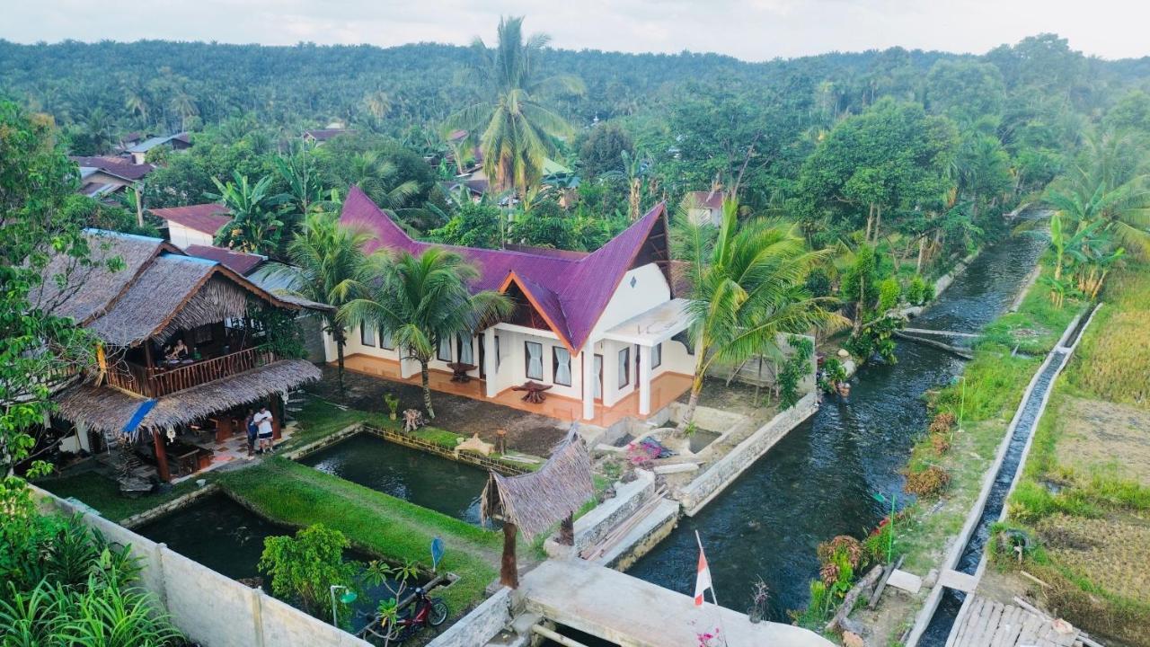 Sumatra Expedition Lodge Bukit Lawang Ngoại thất bức ảnh