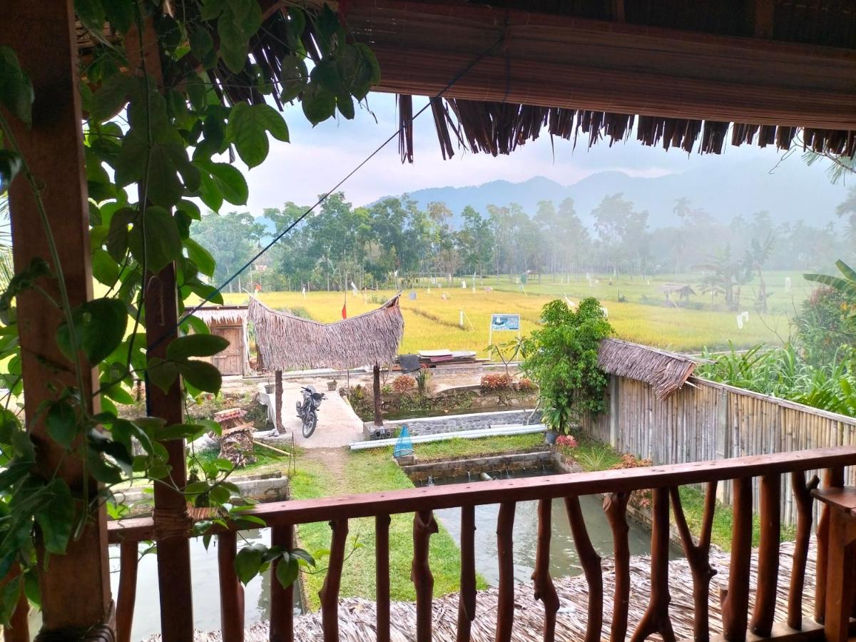 Sumatra Expedition Lodge Bukit Lawang Ngoại thất bức ảnh