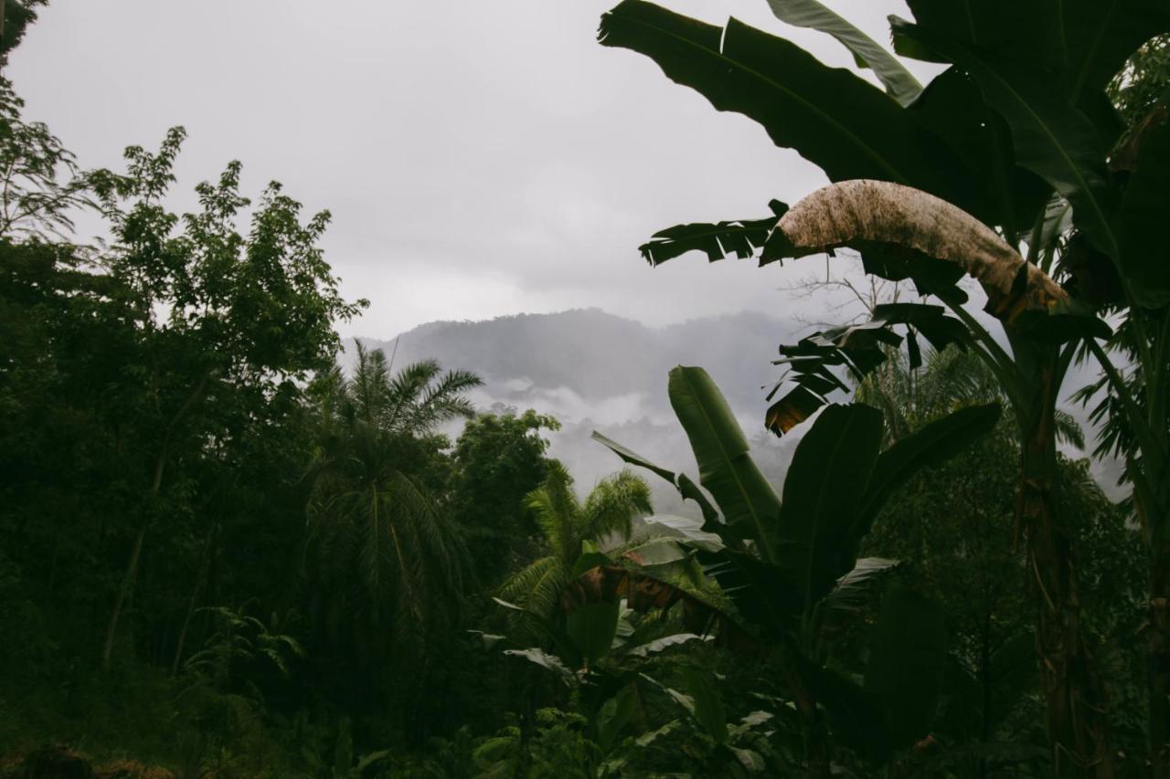 Sumatra Expedition Lodge Bukit Lawang Ngoại thất bức ảnh