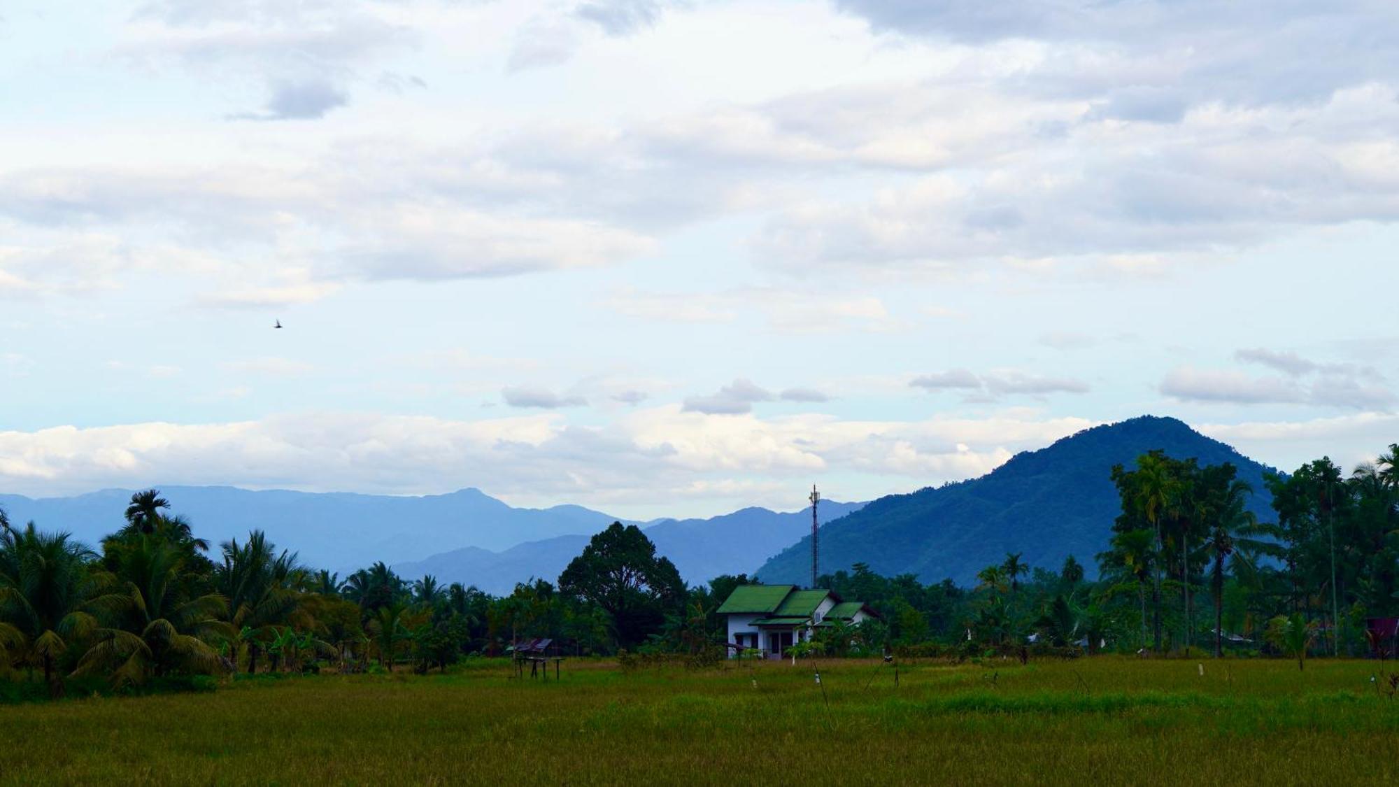 Sumatra Expedition Lodge Bukit Lawang Ngoại thất bức ảnh