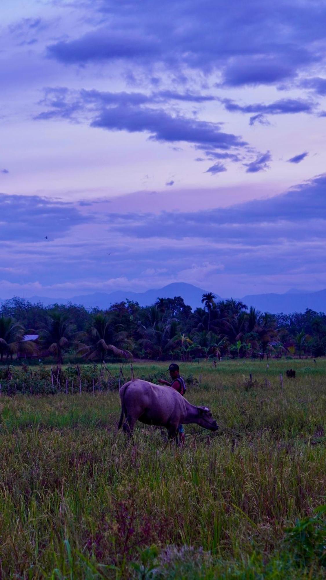 Sumatra Expedition Lodge Bukit Lawang Ngoại thất bức ảnh