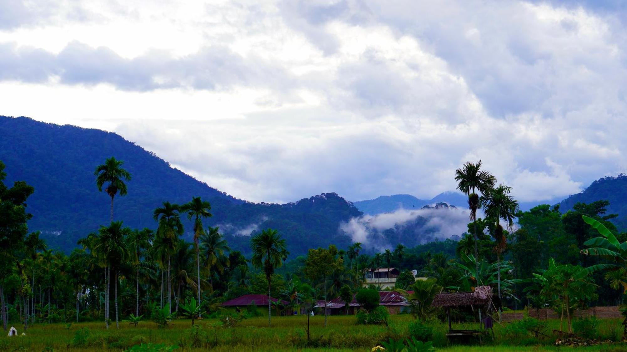 Sumatra Expedition Lodge Bukit Lawang Ngoại thất bức ảnh