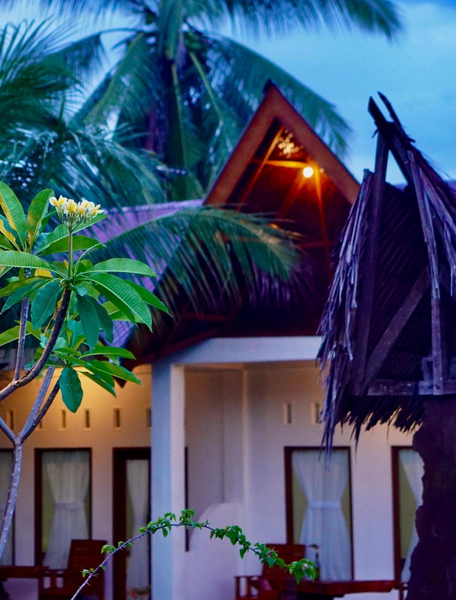 Sumatra Expedition Lodge Bukit Lawang Ngoại thất bức ảnh