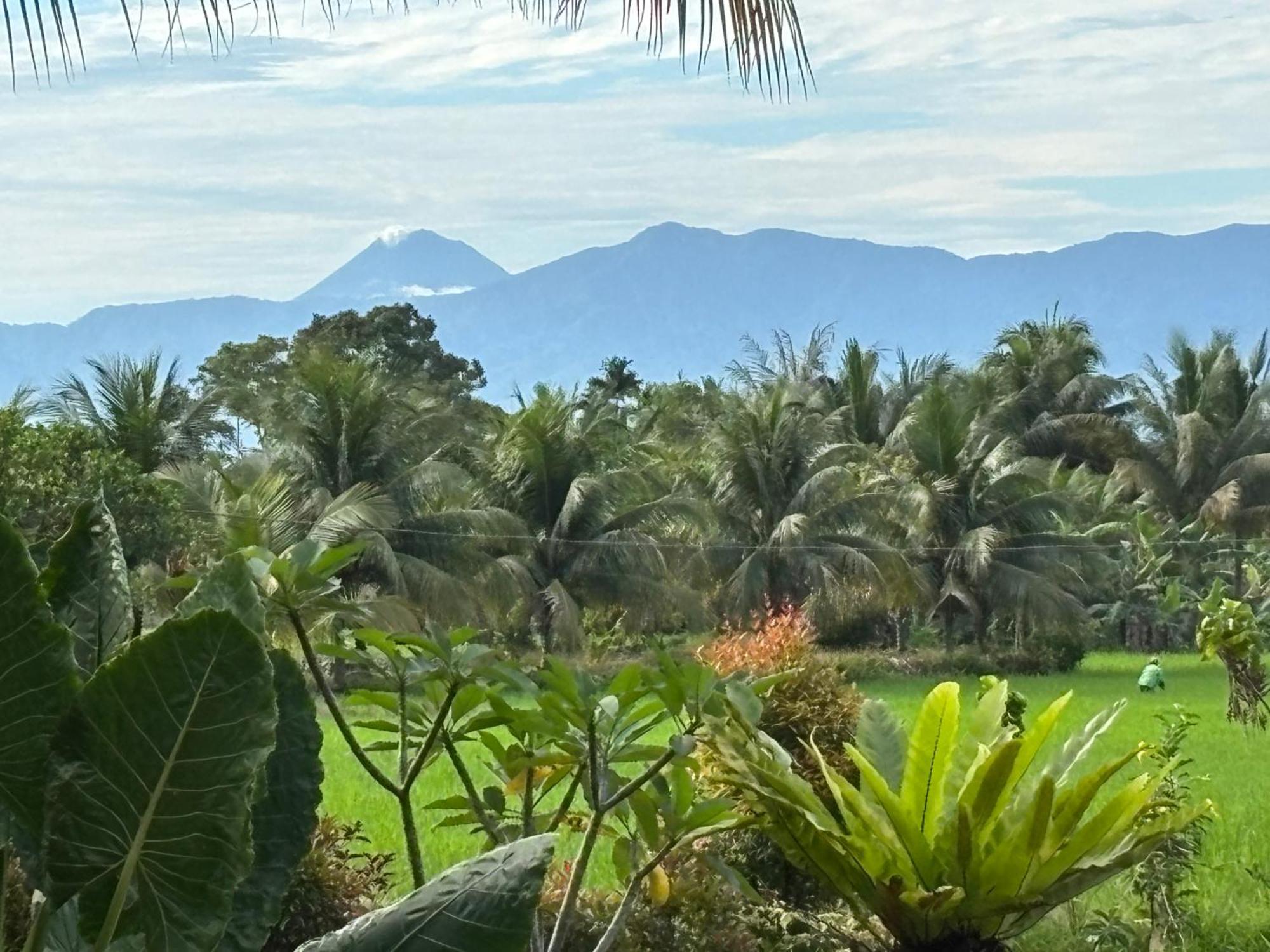 Sumatra Expedition Lodge Bukit Lawang Ngoại thất bức ảnh
