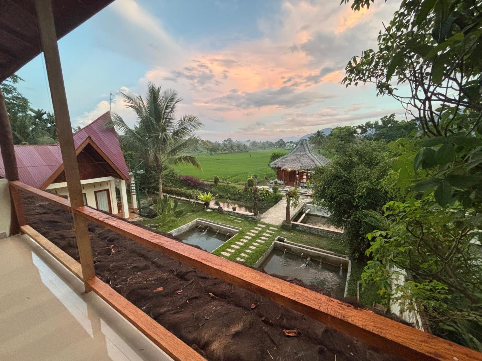 Sumatra Expedition Lodge Bukit Lawang Ngoại thất bức ảnh
