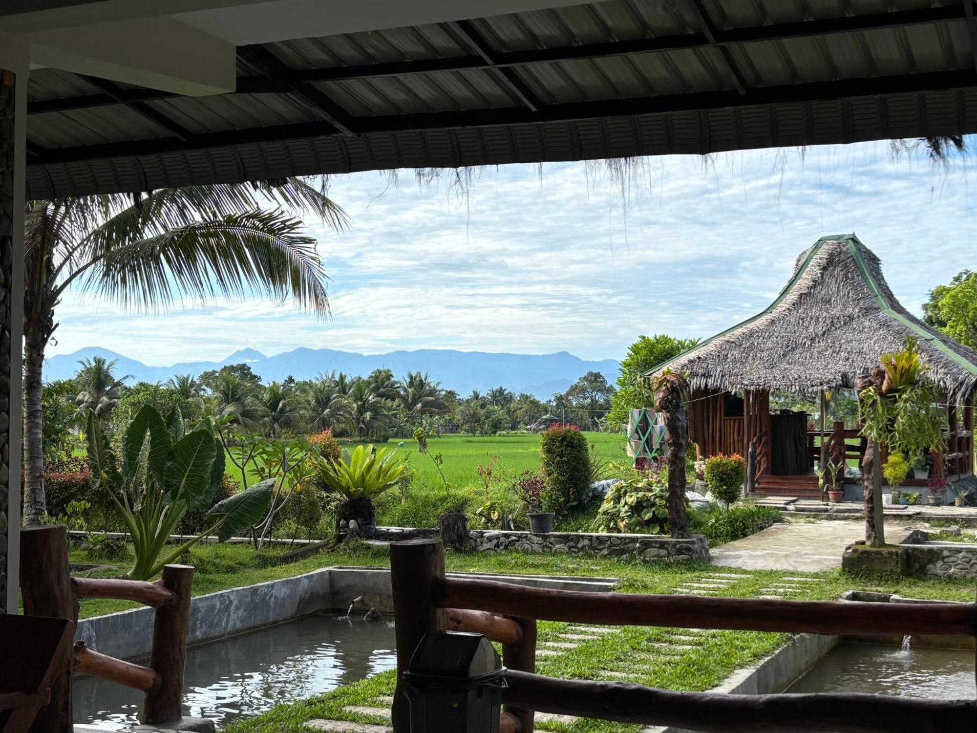Sumatra Expedition Lodge Bukit Lawang Ngoại thất bức ảnh