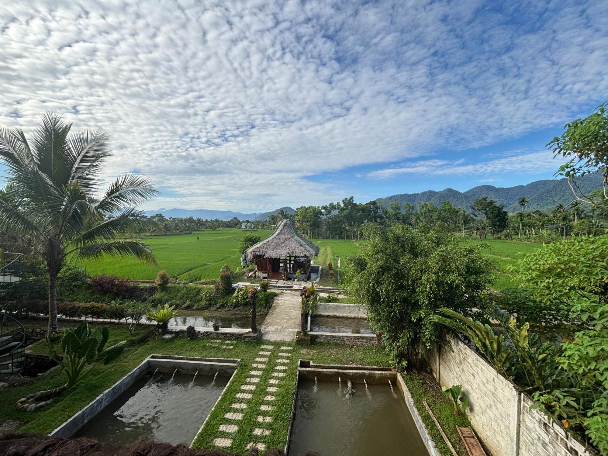Sumatra Expedition Lodge Bukit Lawang Ngoại thất bức ảnh